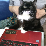 User profile picture
